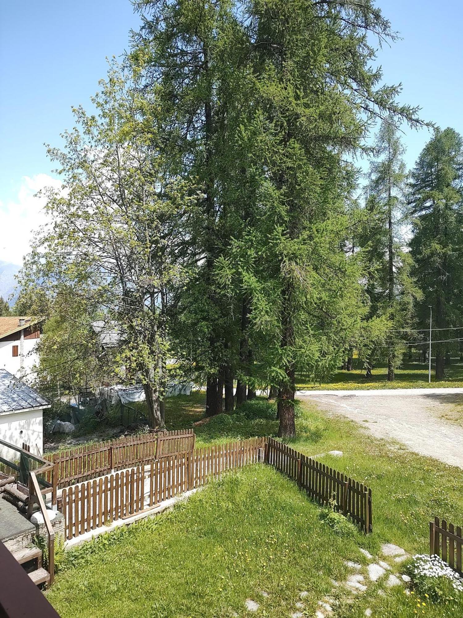 Montagna Che Passione Apartman Chiomonte Kültér fotó